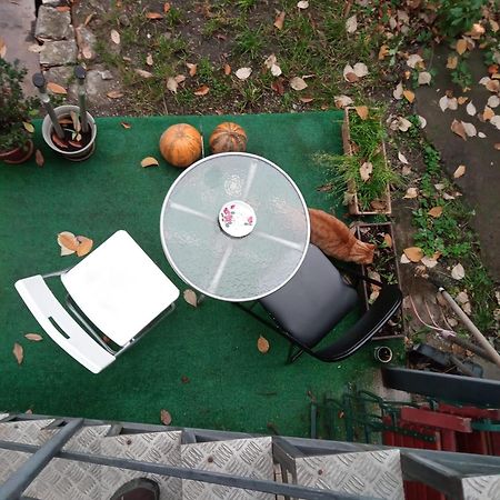 Apartament Cu Un Dormitor Spatios In Centrul Cluj-Napoca Eksteriør bilde