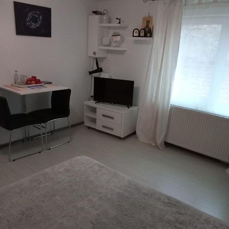 Apartament Cu Un Dormitor Spatios In Centrul Cluj-Napoca Eksteriør bilde
