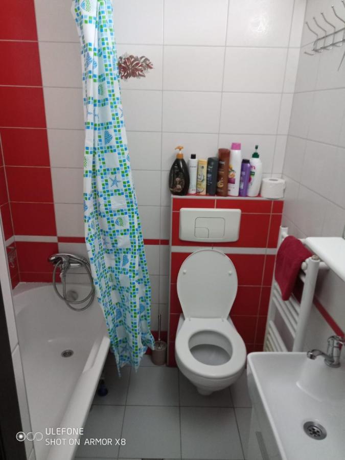 Apartament Cu Un Dormitor Spatios In Centrul Cluj-Napoca Eksteriør bilde