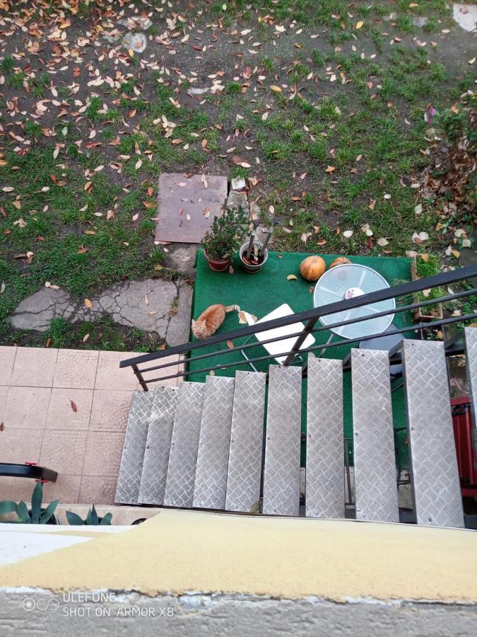 Apartament Cu Un Dormitor Spatios In Centrul Cluj-Napoca Eksteriør bilde