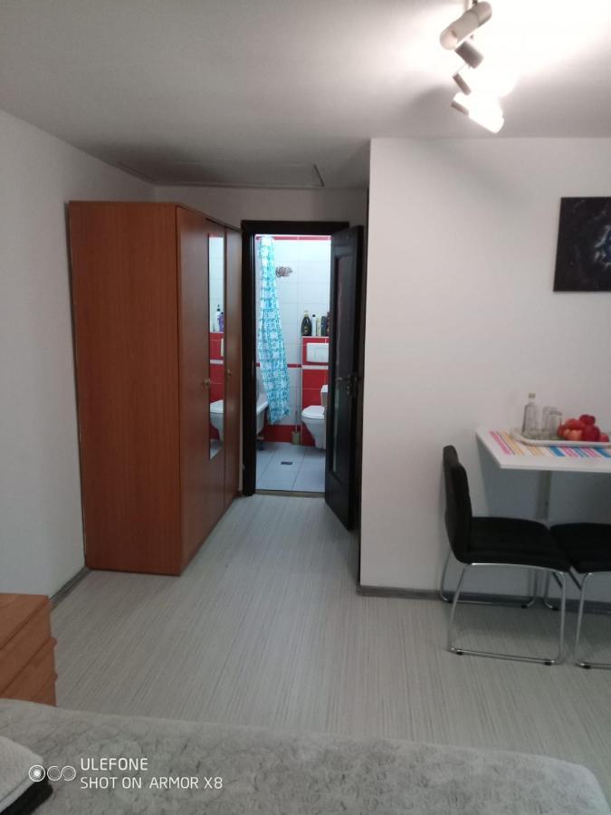 Apartament Cu Un Dormitor Spatios In Centrul Cluj-Napoca Eksteriør bilde