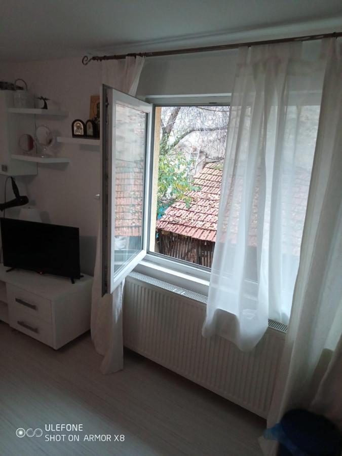 Apartament Cu Un Dormitor Spatios In Centrul Cluj-Napoca Eksteriør bilde