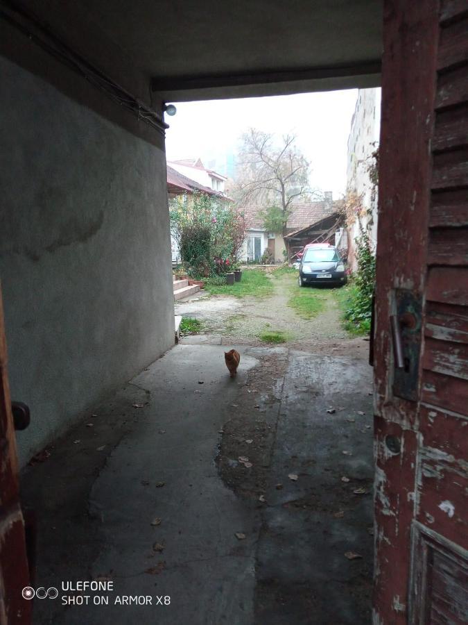 Apartament Cu Un Dormitor Spatios In Centrul Cluj-Napoca Eksteriør bilde