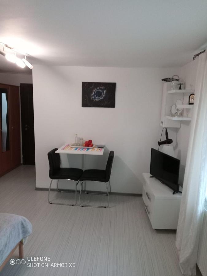 Apartament Cu Un Dormitor Spatios In Centrul Cluj-Napoca Eksteriør bilde
