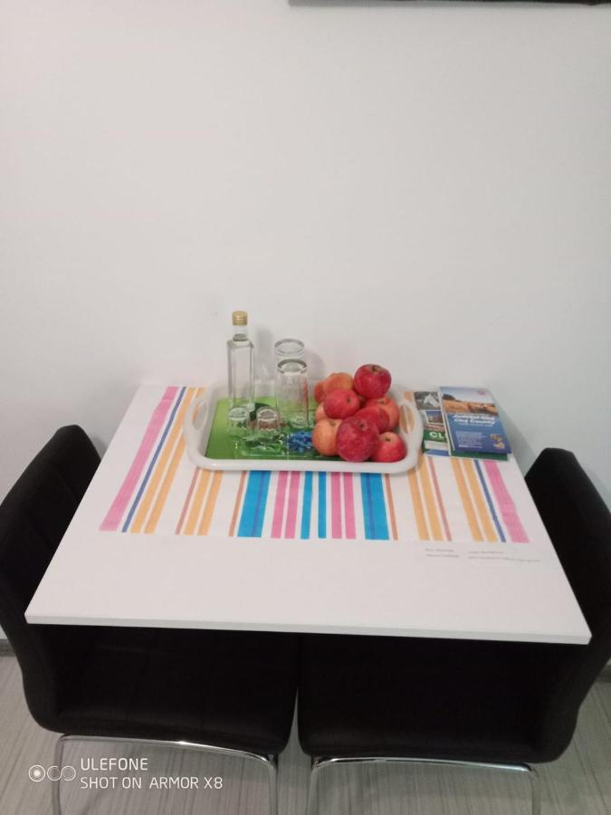 Apartament Cu Un Dormitor Spatios In Centrul Cluj-Napoca Eksteriør bilde