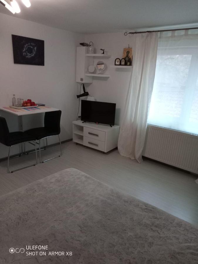 Apartament Cu Un Dormitor Spatios In Centrul Cluj-Napoca Eksteriør bilde