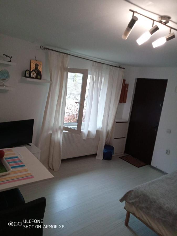 Apartament Cu Un Dormitor Spatios In Centrul Cluj-Napoca Eksteriør bilde