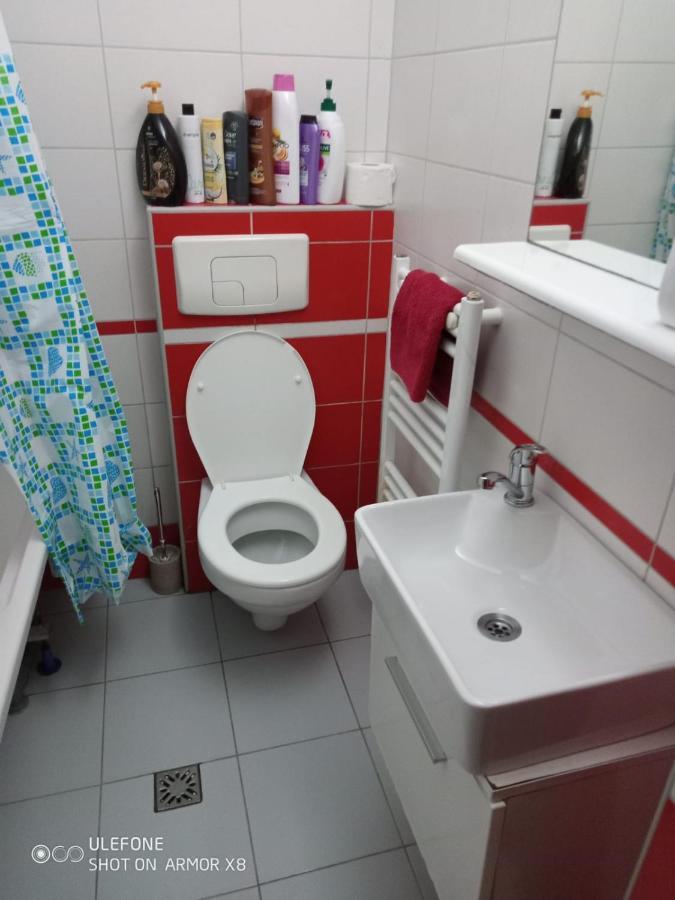 Apartament Cu Un Dormitor Spatios In Centrul Cluj-Napoca Eksteriør bilde