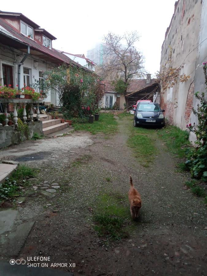 Apartament Cu Un Dormitor Spatios In Centrul Cluj-Napoca Eksteriør bilde